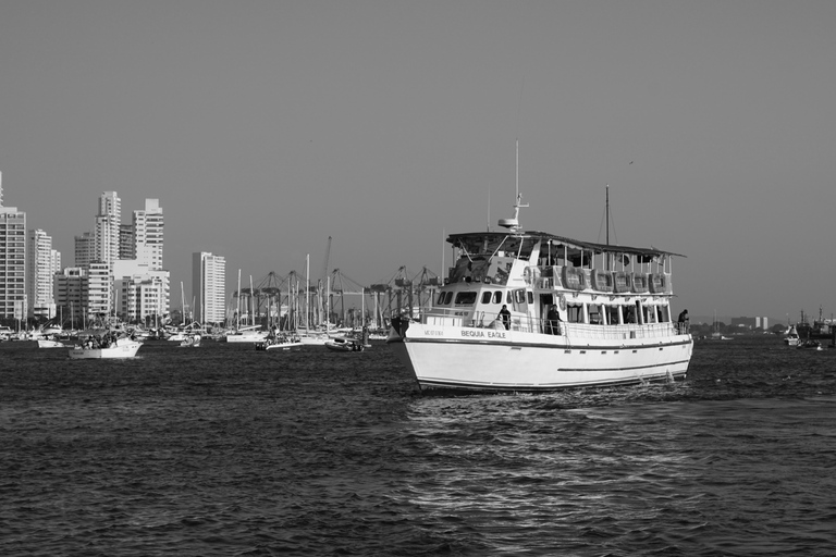 Carthagène : excursion en bateau de nuit avec dîner et open barCARTAGENA : Excursion en bateau de nuit blanche avec dîner et open bar