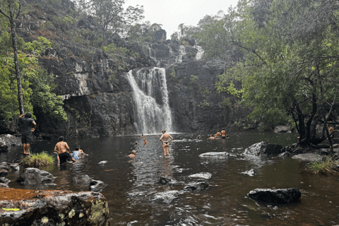 Airlie Beach: Traslado de ida y vuelta a las cataratas Cedar Creek