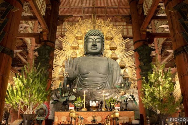 Excursion privée d'une journée à Kyoto-Nara avec prise en charge à l'hôtelExcursion privée d'une journée à Nara-Kyoto avec prise en charge à l'hôtel
