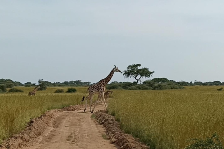 Safari de 2 días por el Lago Mburo