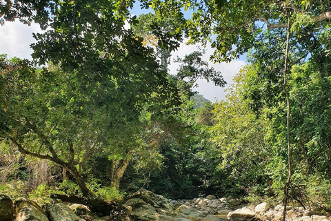Santa Marta: 1-Day Kogui Indigenous Experience with Waterfall Santa Marta: 1-day Kogui Indigenous Experience with waterfall.