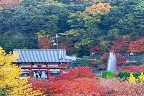 Kyoto Full-Day Customizable Group Tour with English Guide