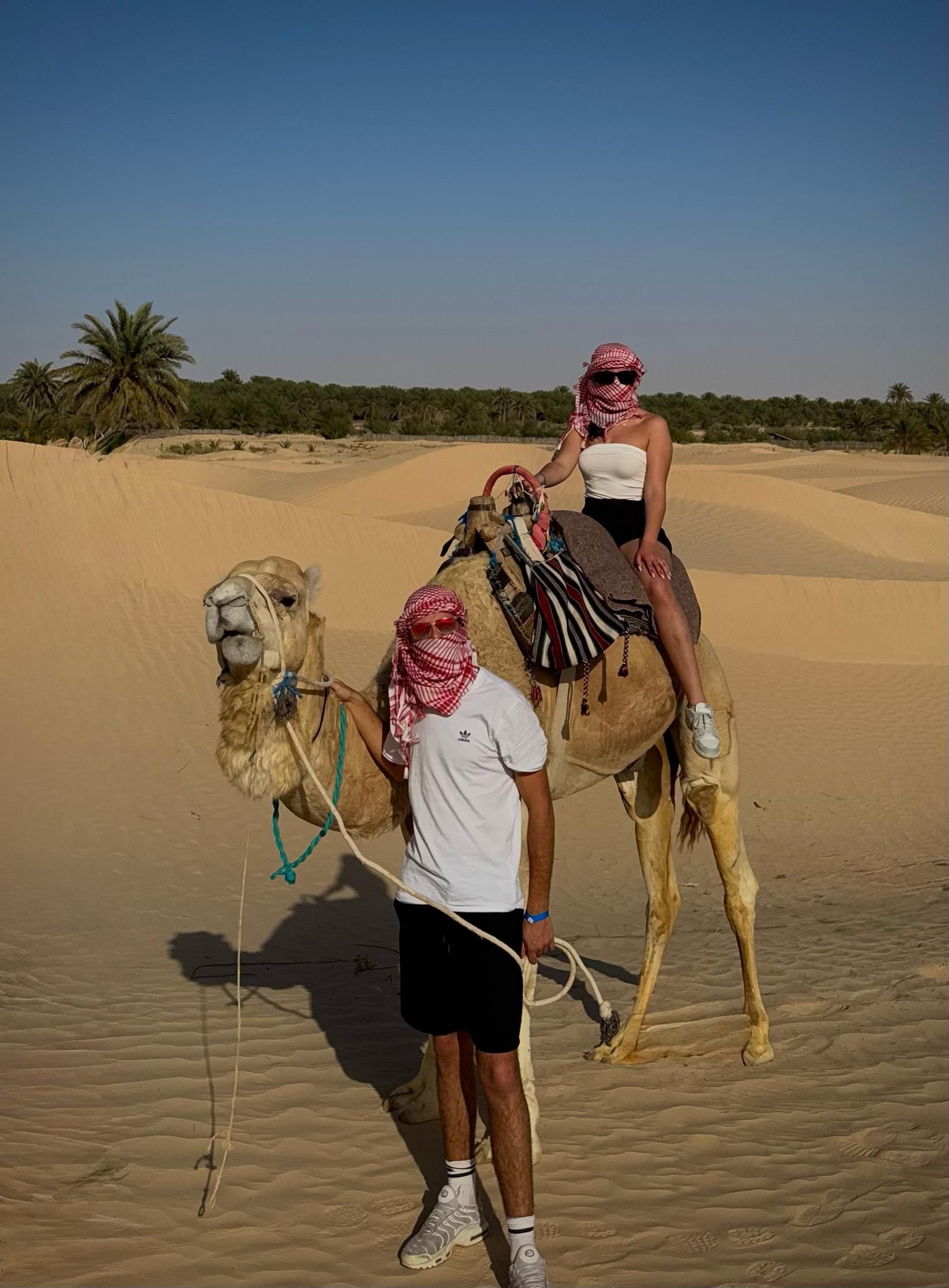 Entdeckungstag in Djerba/Zarzis: Oase, heiße Quellen und Quad