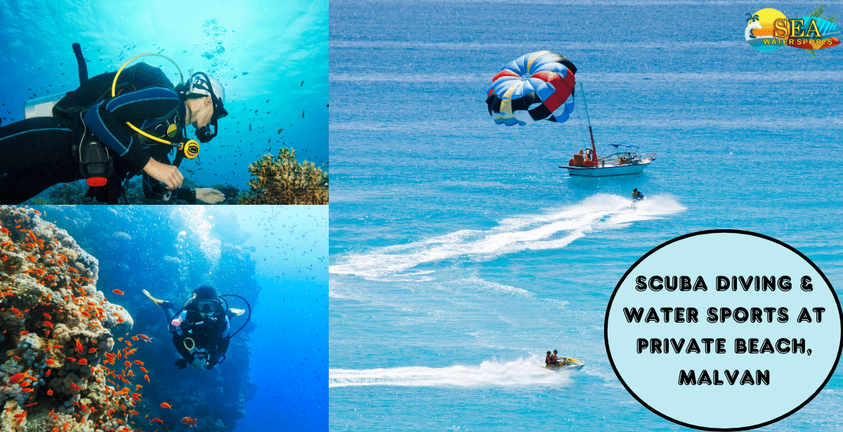 Scuba Diving & Water Sports At Private Beach, Malvan GetYourGuide