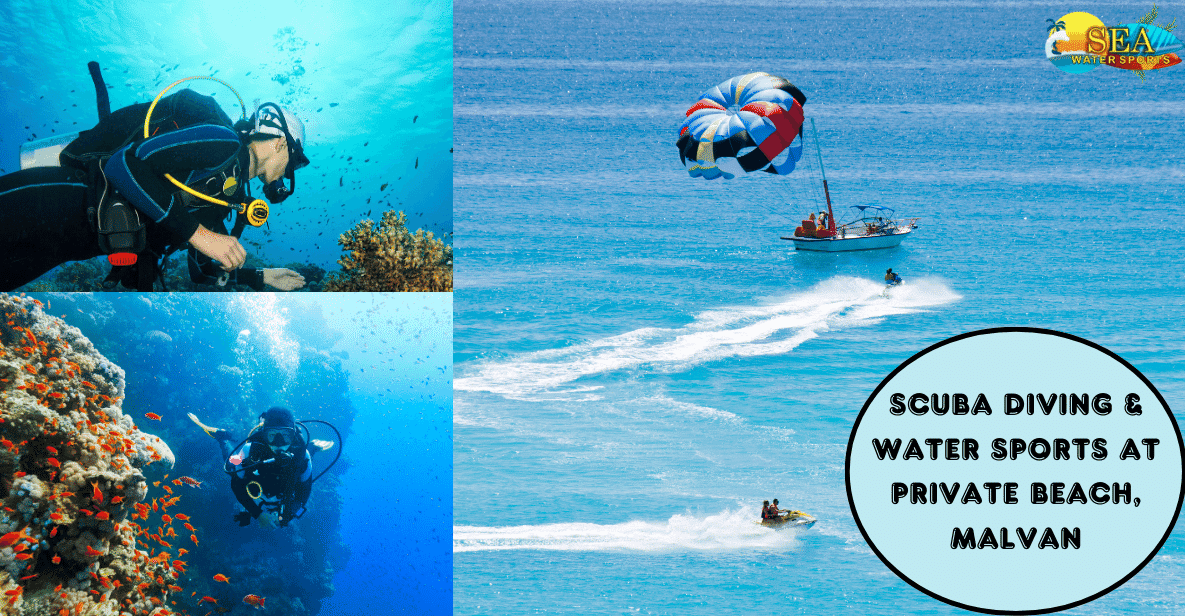 Scuba Diving & Water Sports At Private Beach, Malvan GetYourGuide