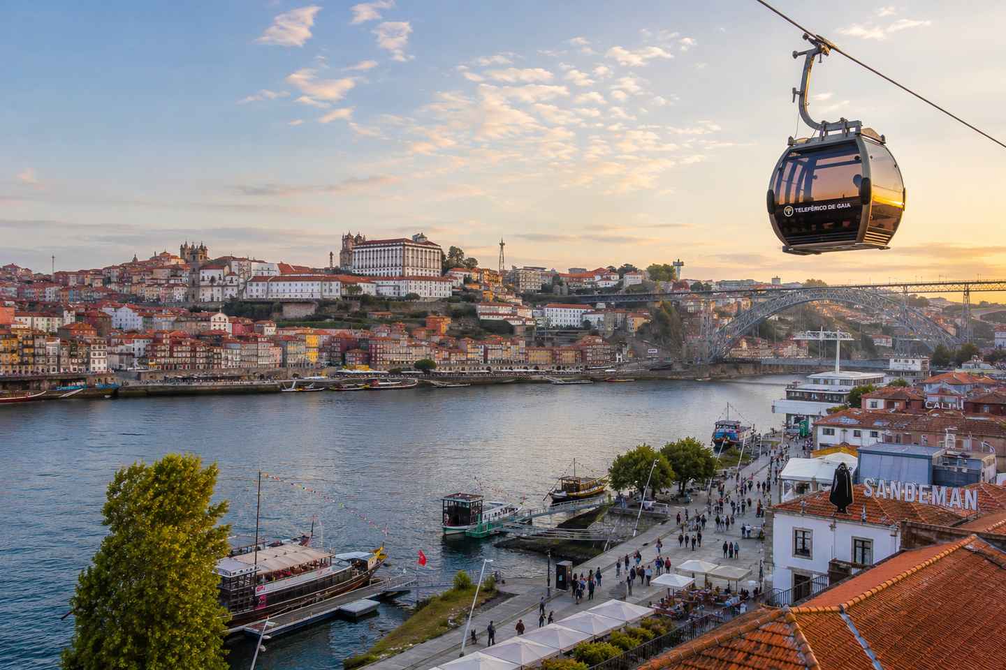 Porto: Highlights Guided Walking Tour