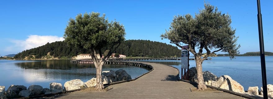 Au départ de Vlora : excursion d'une journée à Zvernec, Apollonia et Berat