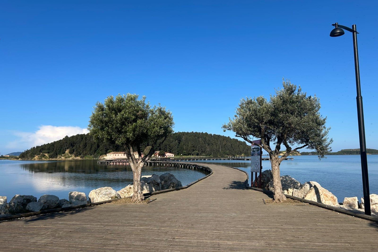 From Vlora: Apollonia,Zvernec & Berat Daily Trip