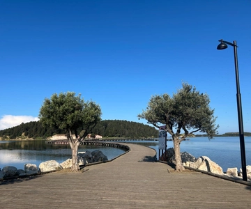De Vlora: Apollonia,Zvernec & Berat Viagem diária