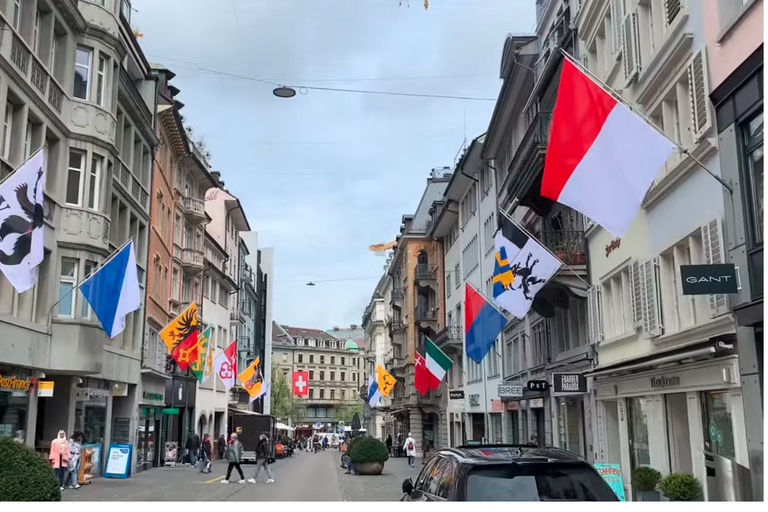 Zurich: Old Town and Rhine Falls Private Tour with Boat Special Offer