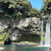 Jeju South: Small Group Healing Tour w/Mt.Halla & Olle Trail
