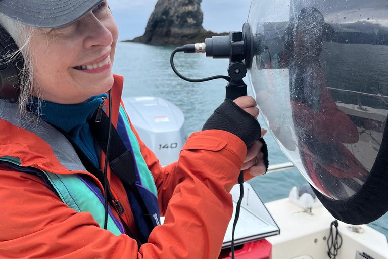 Homer, Alaska: Touring Kachemak Bay Tour