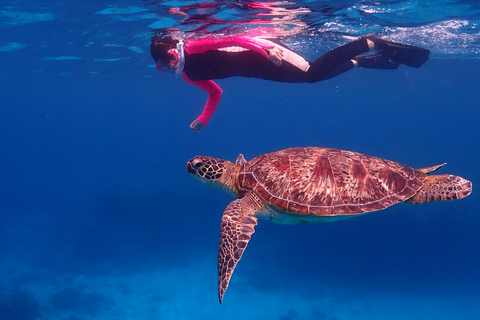 From Naha: Kerama Islands Snorkeling Boat Trip with Turtles