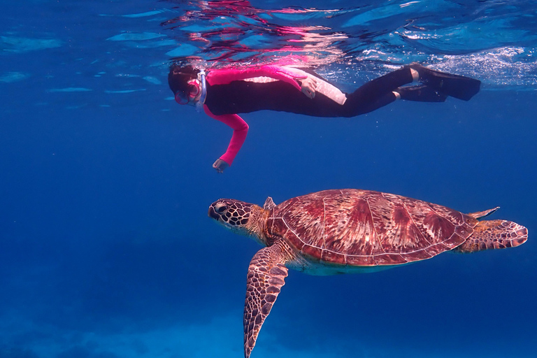 From Naha: Kerama Islands Snorkeling Boat Trip with Turtles