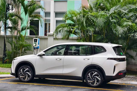 From Hanoi/Ninh Binh: Full-Day Private Car with Lunch&Guide From Ninh Binh: Full-Day Round-Trip Private Transfer