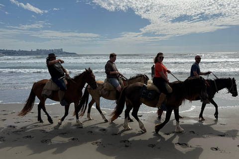 Vineyard, Valparaiso, Horseback Riding, Sea L &amp; BBQ Day Trip