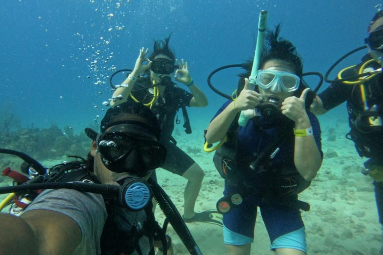 Scuba Diving at Catalina Island - 2 Tanks / 2 Spots