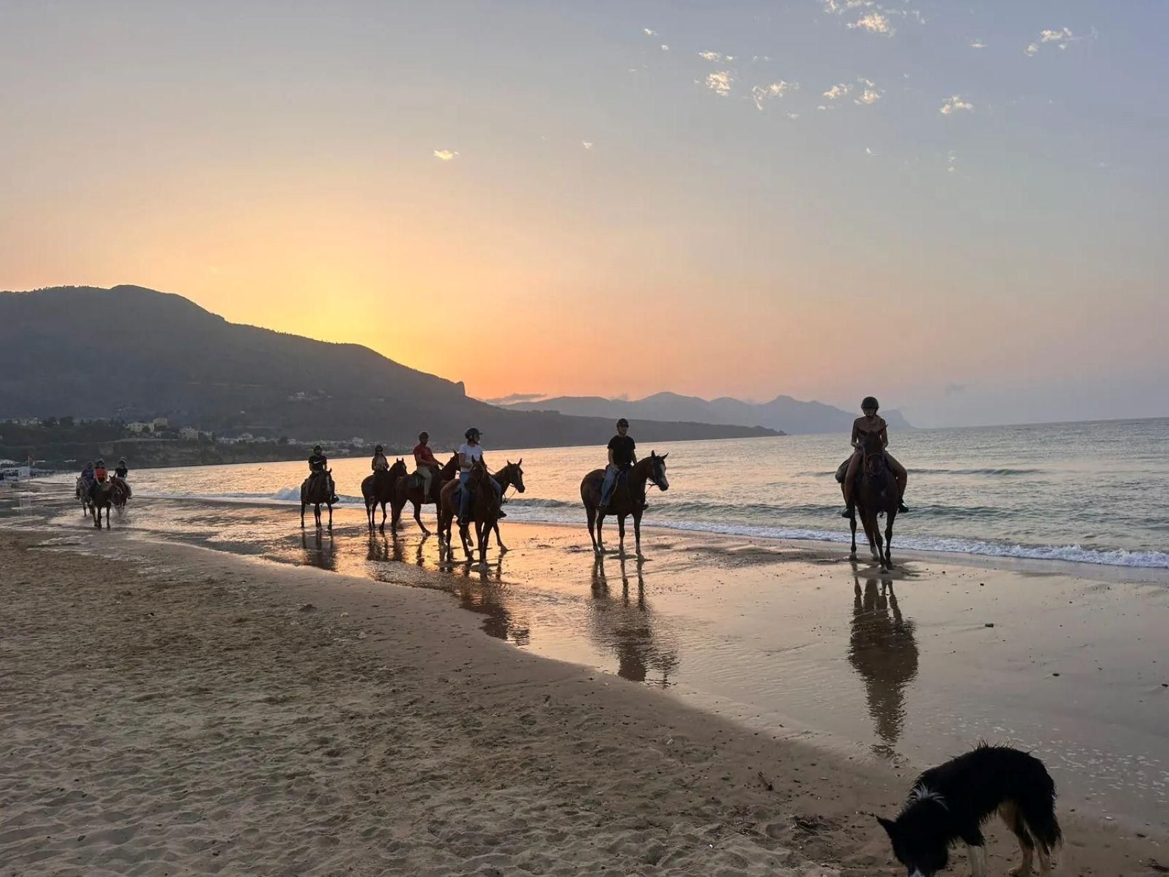 Castellammare del Golfo: Ausritt am Meer mit Guide