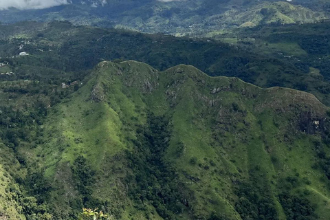 Ella: Pekoe Trail Stage 15 Guided Hike (Makulella to Ella)