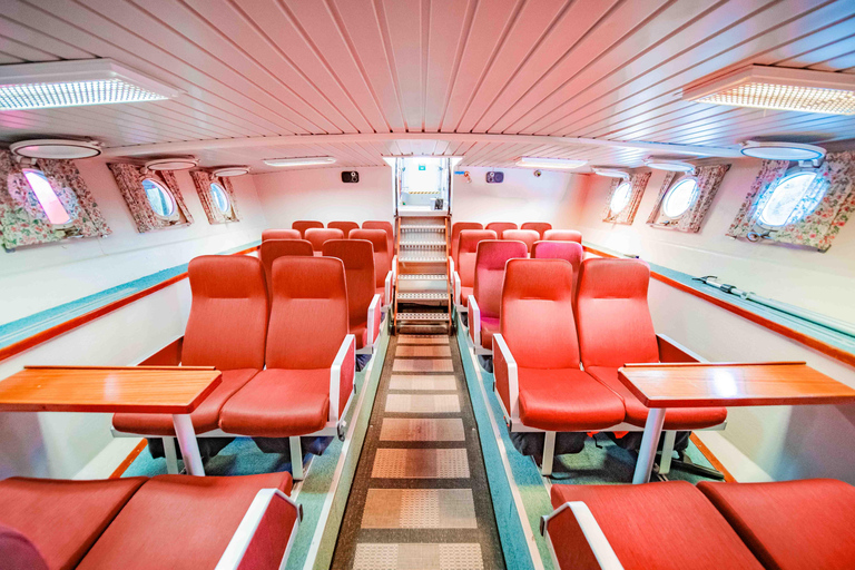 Alta: Altafjord Whale Watching in a Heated Boat