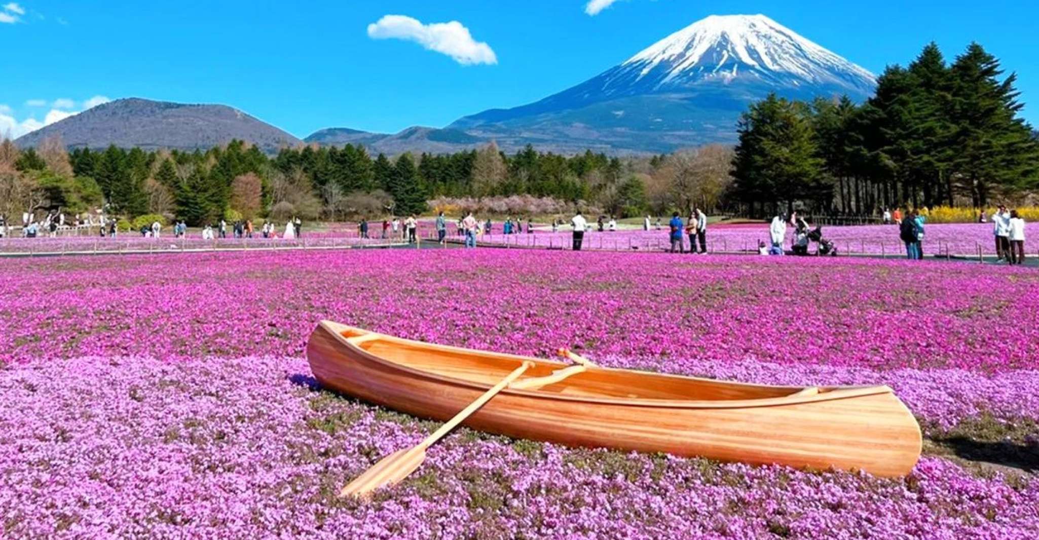 Tokyo, Mt.Fuji Area, Oshino Hakkai & Kawaguchi Lake Day Trip - Housity