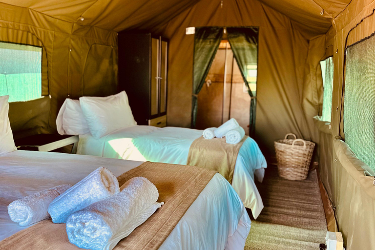 3-tägige Pilanesberg Tlou En-Suite Zelt-Safari3-tägige Pilanesberg Tlou Safari mit Zeltunterkunft und eigenem Bad
