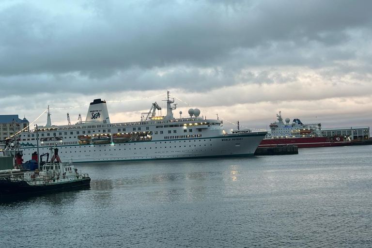 Tour di mezza giornata di Robben Island, biglietti e trasferimenti inclusi