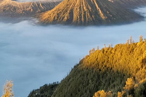 From Malang: Tumpak Sewu, Bromo, and Ijen Blue Fire Tour