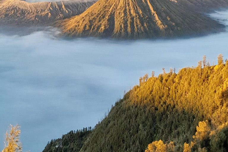 From Malang: Tumpak Sewu, Bromo, and Ijen Blue Fire Tour