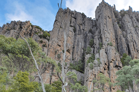 Desde Hobart Tour a pie matinal del monte Wellington