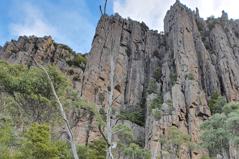 Desde Hobart Tour a pie matinal del monte Wellington