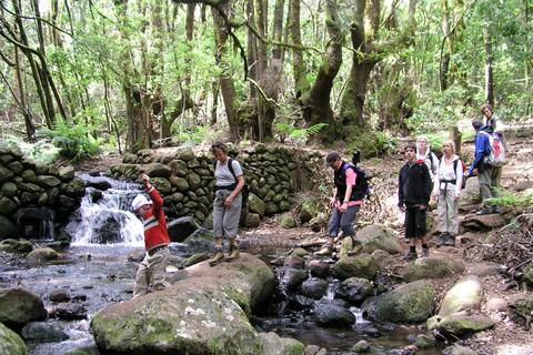 La Gomera: Las deszczowy (park narodowy)La Gomera: Wędrówki po lesie deszczowym