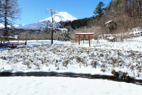 Tokyo: Mount Fuji Affordable Customizable Private 1-Day Tour Mount Fuji one day Private tour in Luxury Land Cruiser