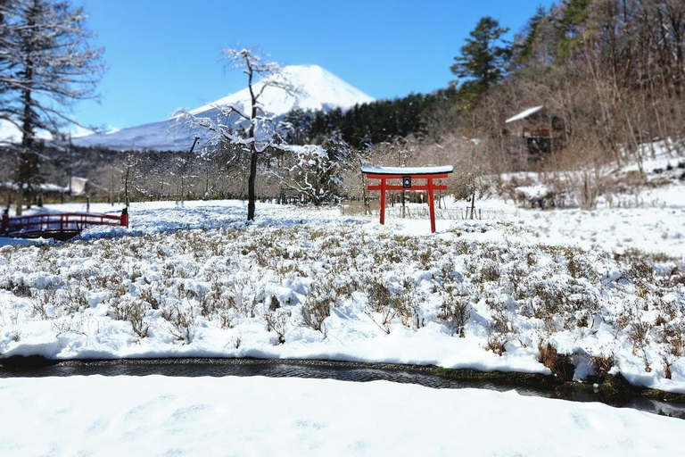 Tokyo: Mount Fuji Affordable Customizable Private 1-Day Tour Mount Fuji one day Private tour in Luxury Land Cruiser