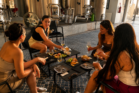 Lagos: Wine Tasting Experience at Local Winery