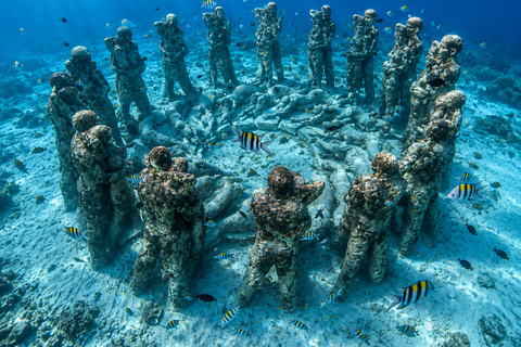 Gili Trawangan: Private Snorkeling Tour 2 Hours