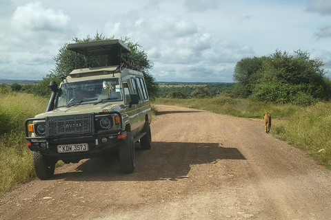 Nairobi National Park Half-Day Safari – Wildlife Game Drive