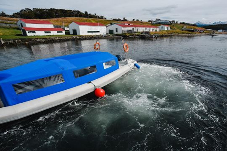 Ushuaia: Martillo Island Full-Day Tour – Walk Among Penguins