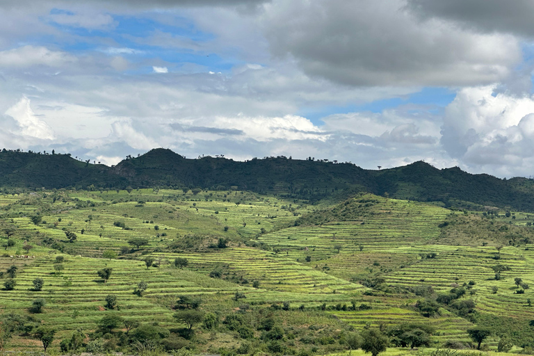 Addis Abeba: 3-tägige Tour zu den Seen des Rift Valley mit Guide