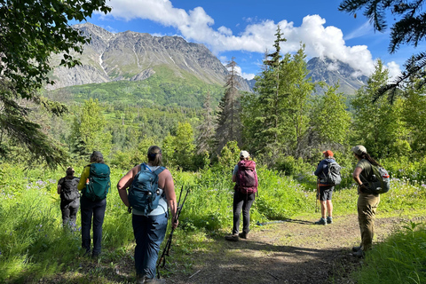 Palmer Hidden Waterfalls Guided Backcountry Hike