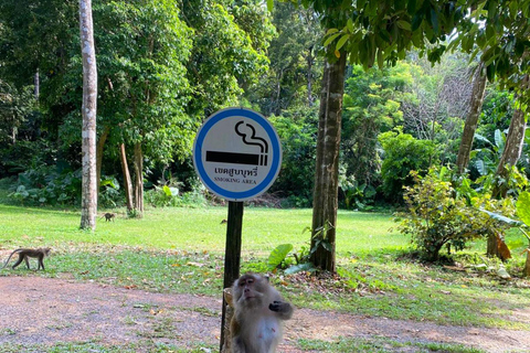 Ko Lanta: Privé ontdekkingstocht - mangroven, oude stad &amp; strandenPrivé Ontdekkingstour