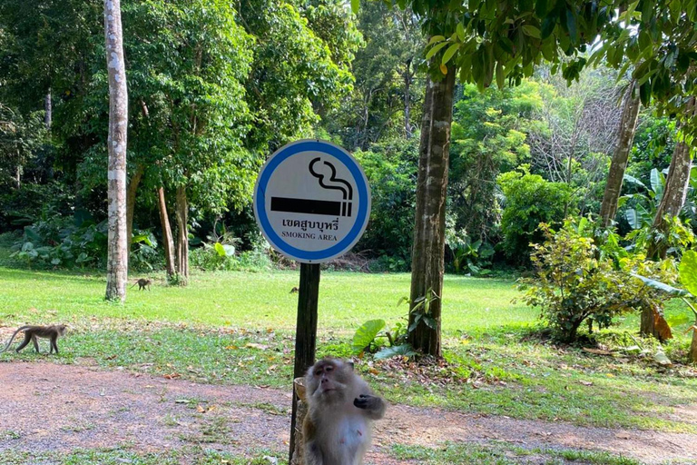 Ko Lanta : Exploration privée - Mangroves, vieille ville et plagesVisite privée d&#039;exploration