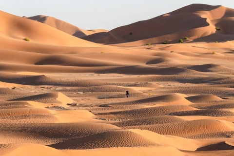 Empty Quarter desert sand dunes