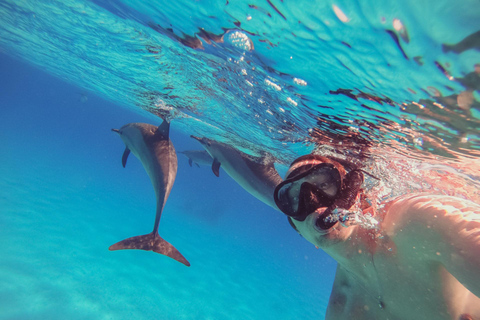 Hurghada or Makadi: Discover the Magic of Dolphin House Pick up from Makadi Bay - Dolphin House