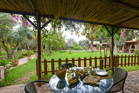 From Hammamet: Private Day Trip to Oudhna, Zaghouan, and Zriba El Olia Without a live guide