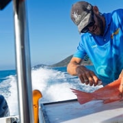Hamilton Island: Half-Day Ocean Fishing Charter