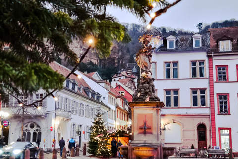 Heidelberg in 1 Day: Walking Tour with Digital Guide€9.95 - Solo ticket