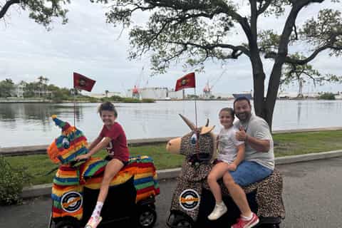 The BEST Tampa Bike tours 2025 FREE Cancellation GetYourGuide