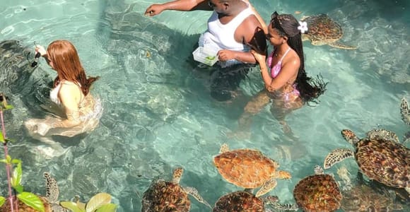 Zanzibar: Red colobus monkey & Salaam Cave with Turtles Tour