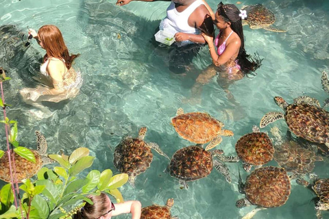 Zanzibar: Wycieczka do lasu Jozani i jaskini SalaamTa wybrana opcja obejmuje odbiór z hotelu i dowóz z hotelu.